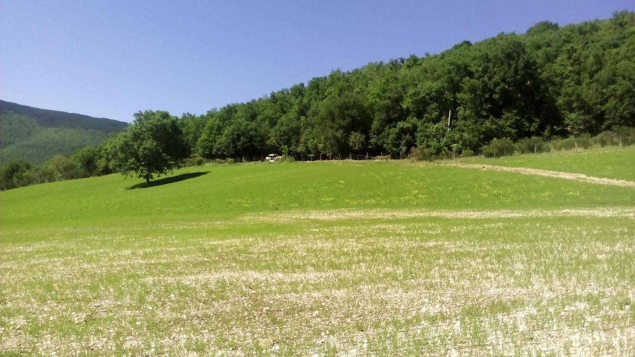 Agriturismo Il Casale Degli Amici Norcia Exteriér fotografie