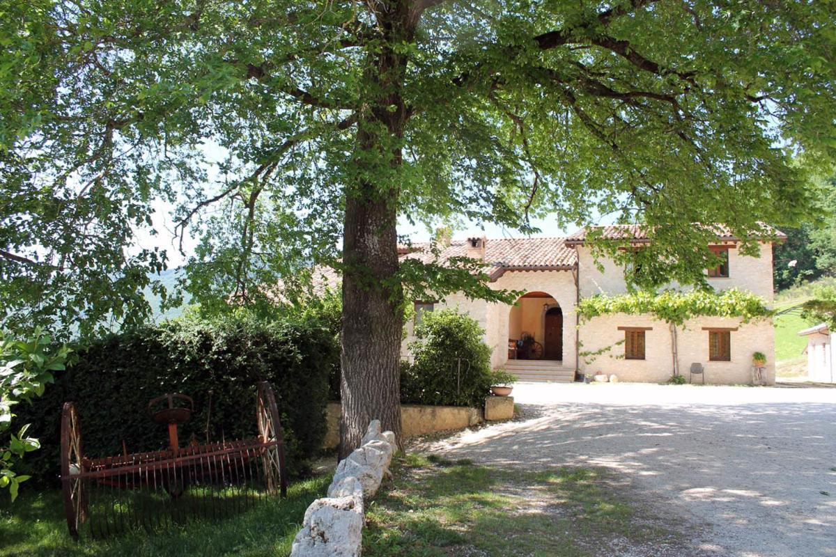 Agriturismo Il Casale Degli Amici Norcia Exteriér fotografie